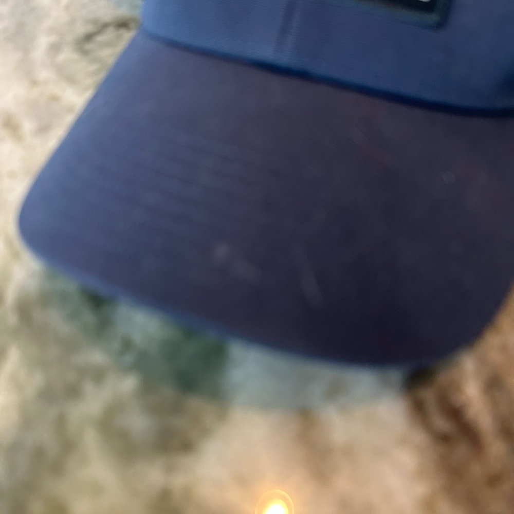 Patagonia Blue Trucker Hat GUC - Picture 3 of 4